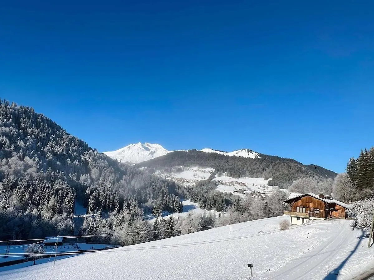 Nouveau 14 Personnes - Apy Chalet Un Grand Chalet Familial Avec Jacuzzi, Terrasse, 6 Chambres, Wifi, Balcon 레게츠