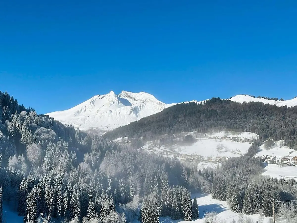 Nouveau 14 Personnes - Apy Chalet Un Grand Chalet Familial Avec Jacuzzi, Terrasse, 6 Chambres, Wifi, Balcon 레게츠 0*,
